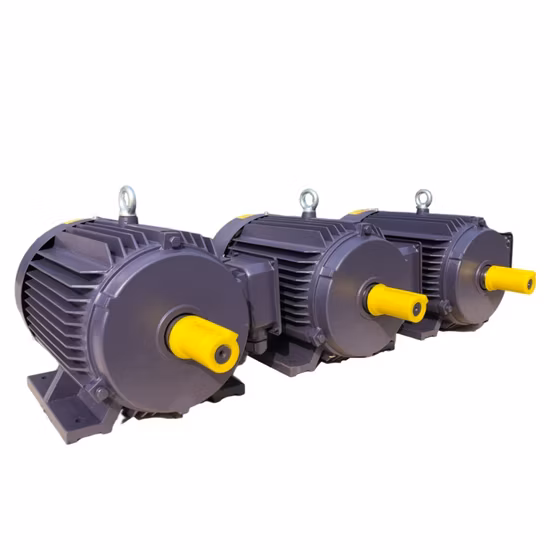 AC Three Phase Electric Motor Industry Induction Motor